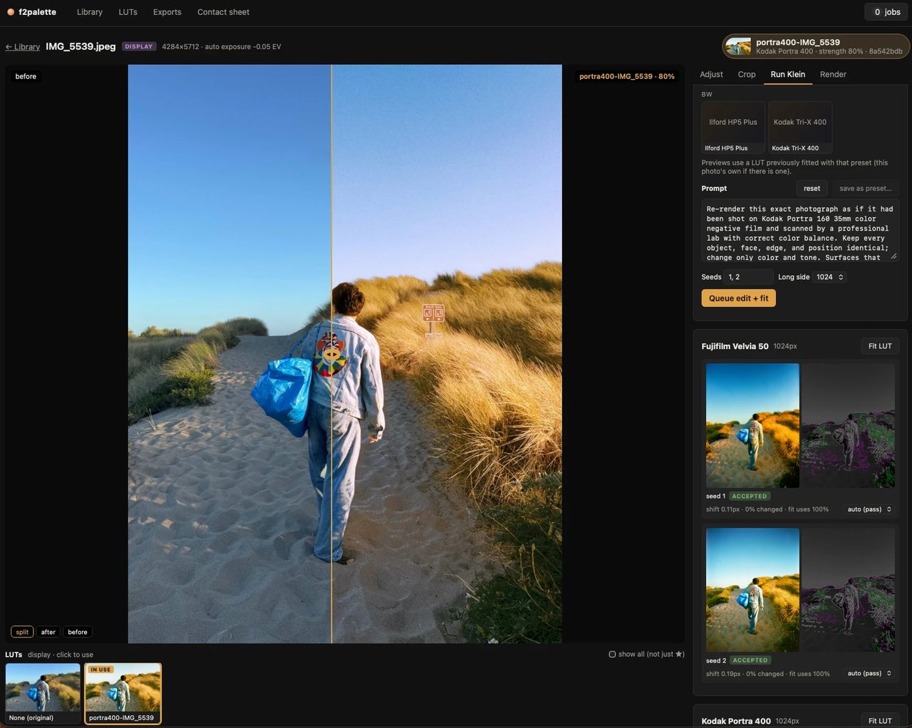A Portra 400 table at 80% strength, split against the original. On the right, the model's two Velvia 50 renderings of the same photograph of me, both passed by the geometry check.